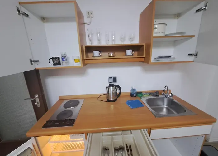 Mhm ホームステイ パッサウ